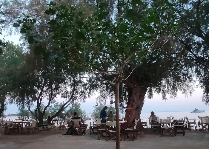 Georgoshouse Lykos Beach Sfakia