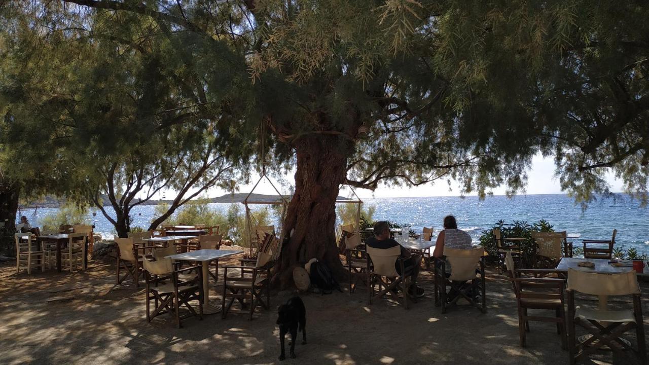 Hotel Georgoshouse Lykos Sfakia *