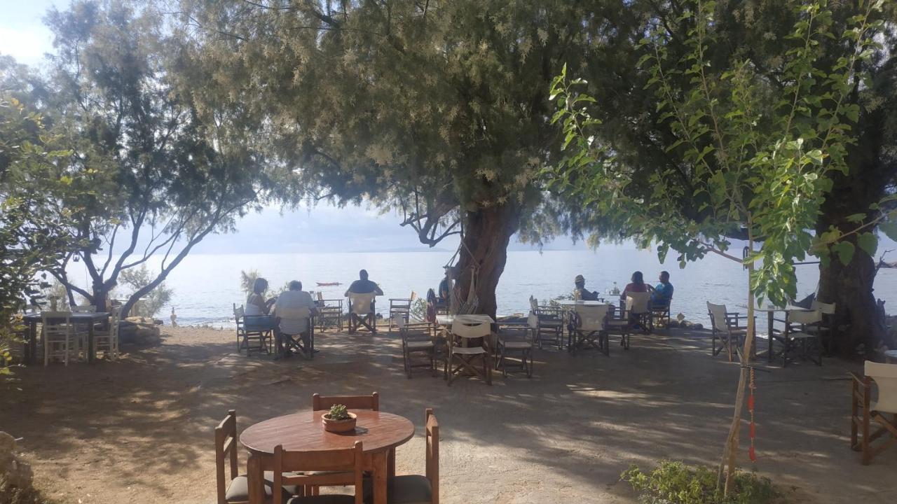 Hotel Georgoshouse Lykos Sfakia