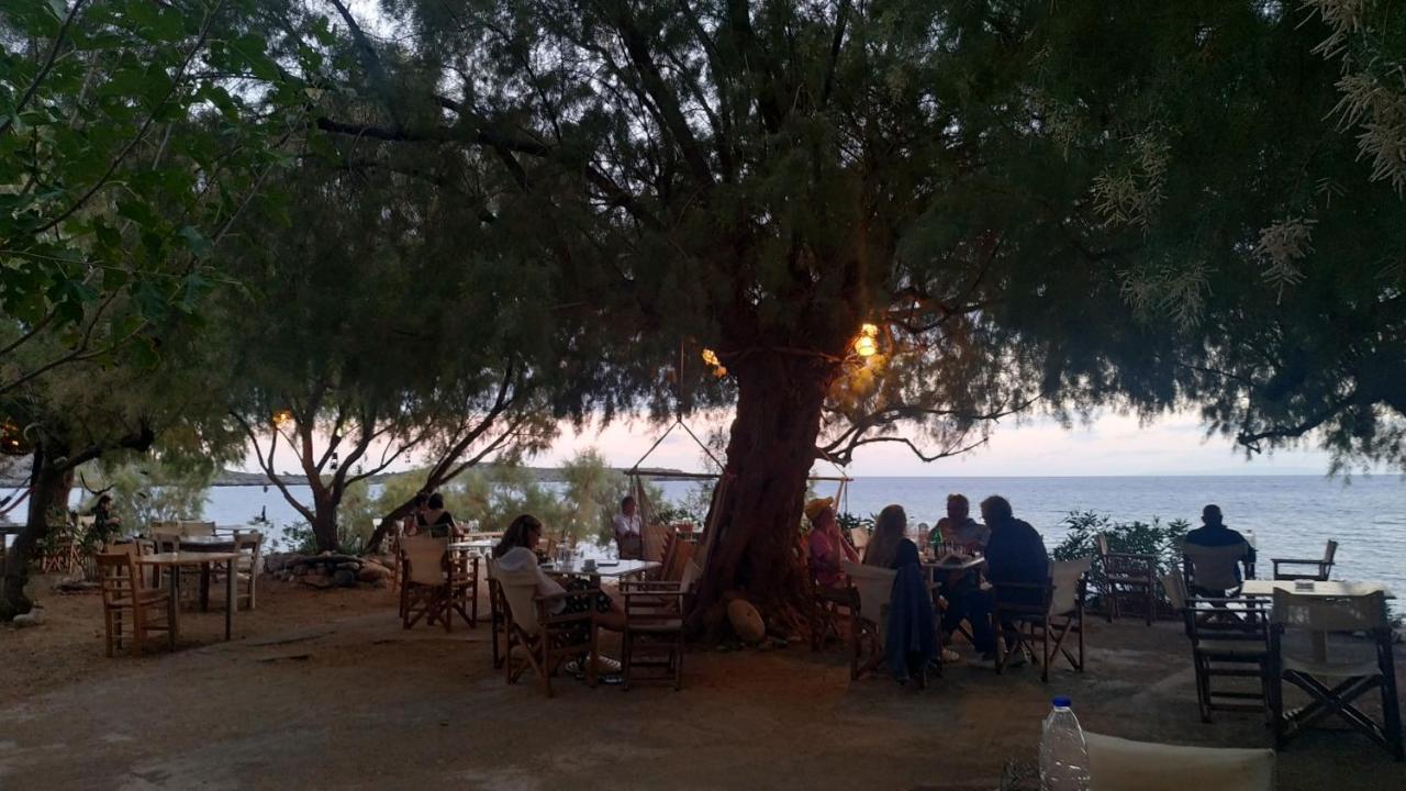 Georgoshouse Lykos Sfakia *