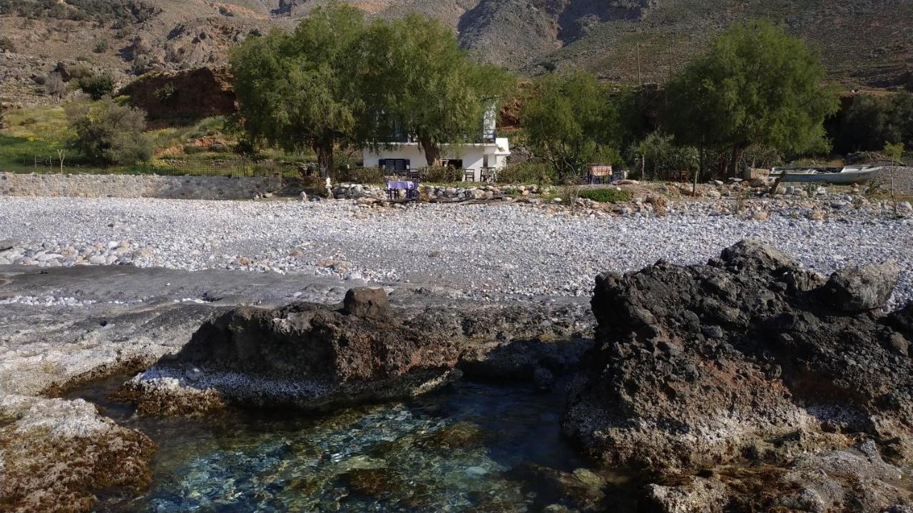 Hotel Georgoshouse Lykos Sfakia