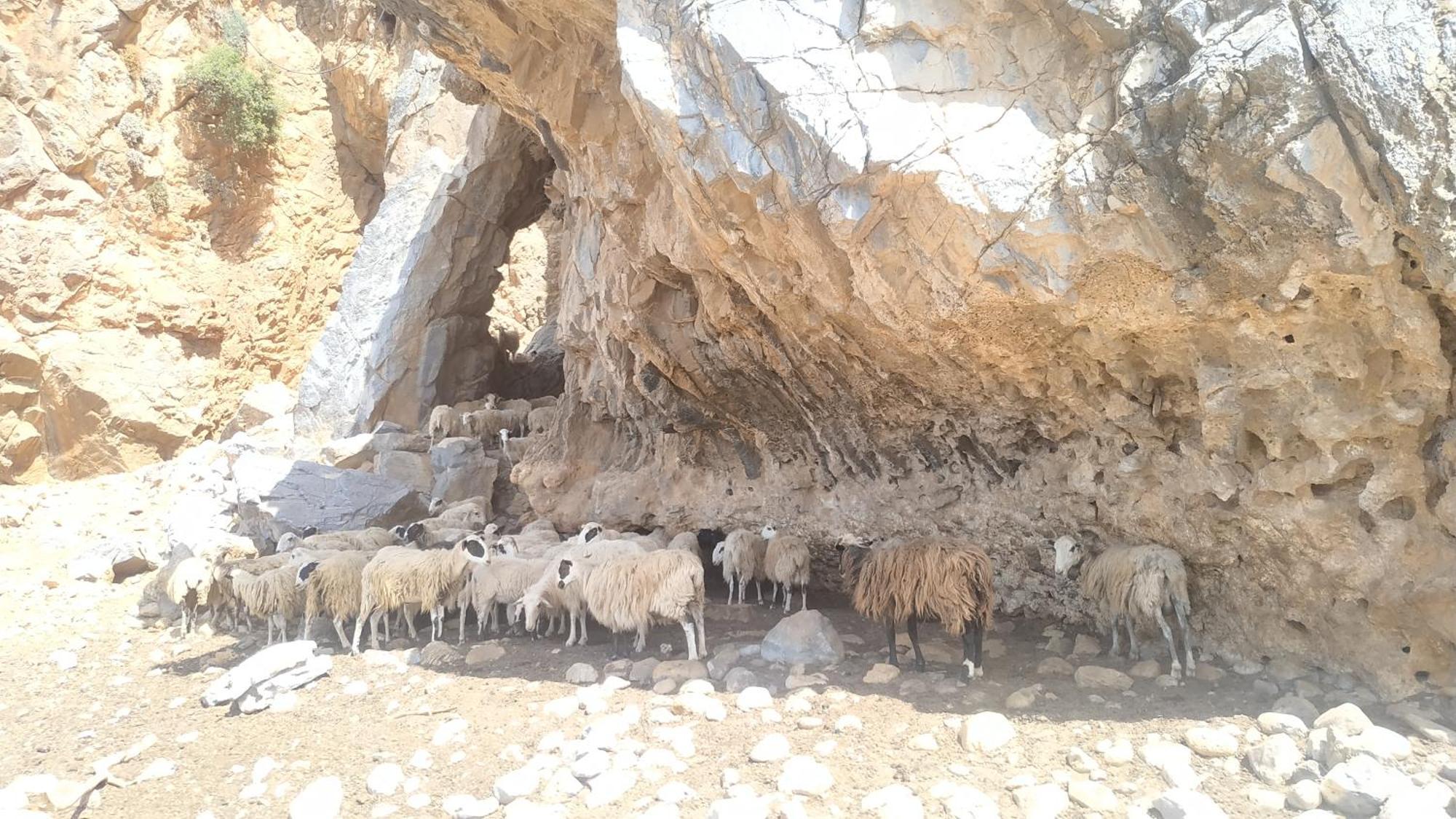 Georgoshouse Lykos Sfakia * Livaniana