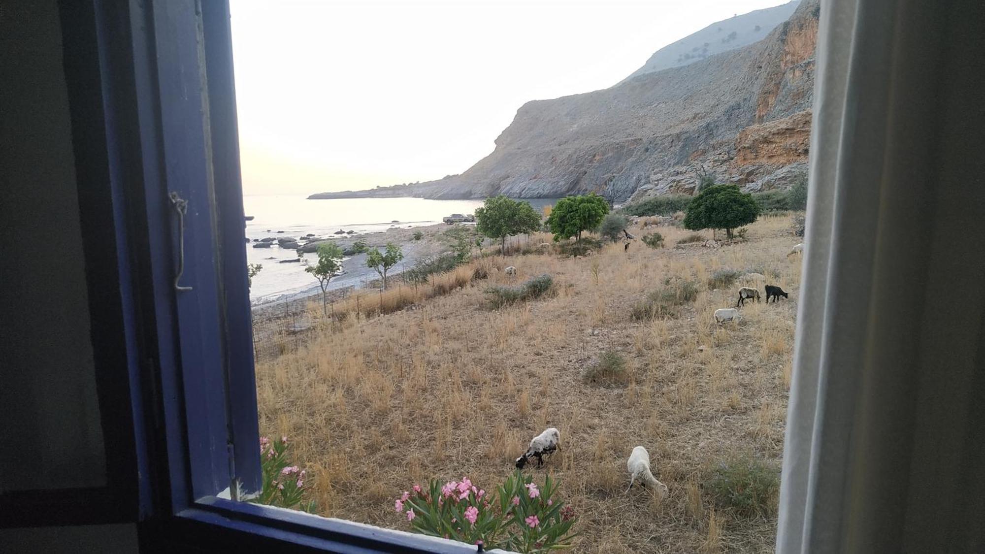 Hotel Georgoshouse Lykos Sfakia Livaniana