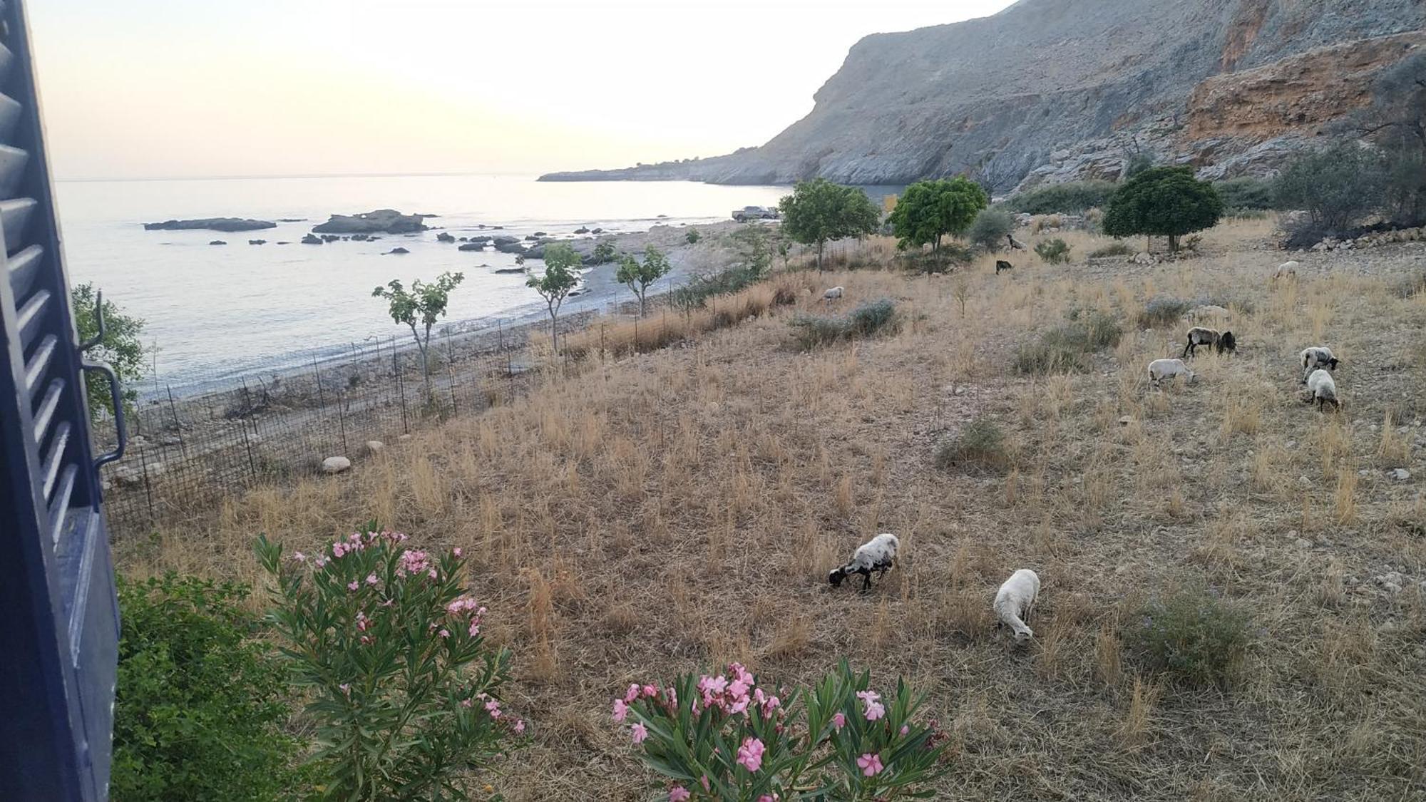 Georgoshouse Lykos Sfakia